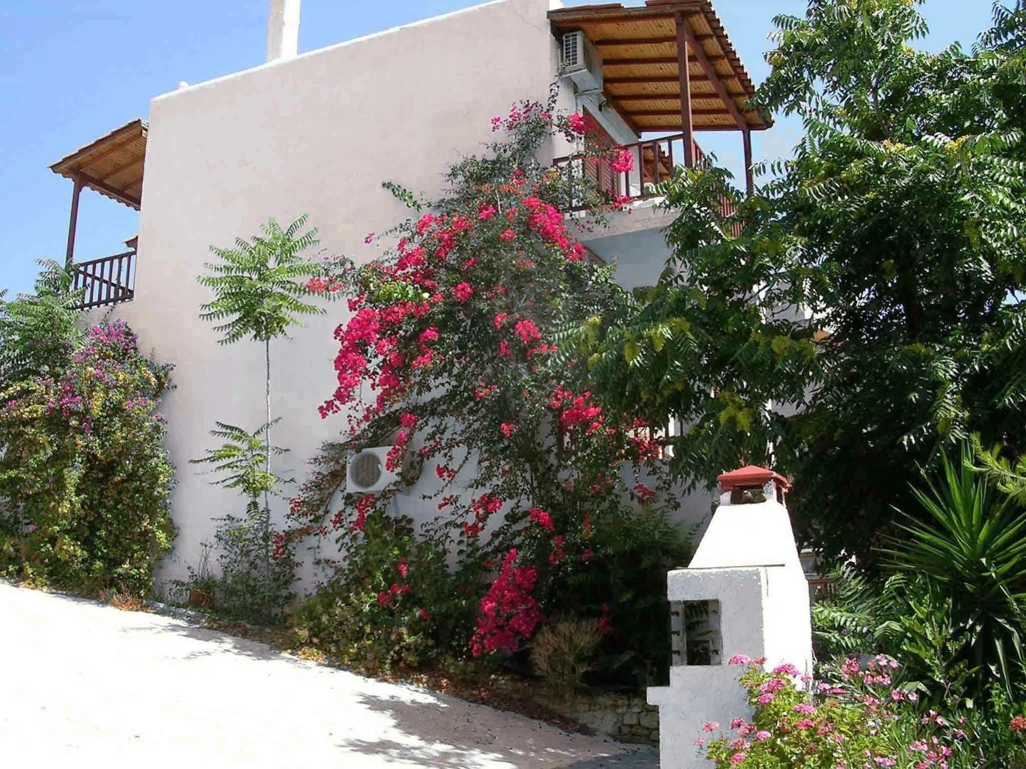 123 Soleil Studios Agia Marina  Exterior foto